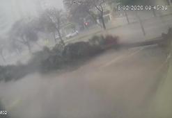 Adana'da fırtına dev ağaçları kökünden söktü, o anlar kameraya yansıdı