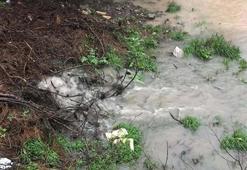 İzmir'in içme suyuna kanalizasyon suları deşarj ediliyor! Tahtalı Barajı'nda büyük tehlike