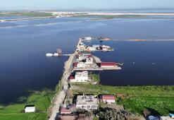 Şiddetli yağışla birlikte tarım arazileri ve evler günlerdir sular altında