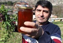 Hobi olarak başladı, rekabeti kovanlara taşıdı! Amasyalı arıcıdan ilginç yöntem