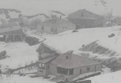 Hakkari Yüksekova’da lapa lapa kar yağışı başladı