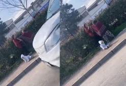 Bursa’da dilenci kadınların kavgası kamerada: Kucağındaki bebek yere düştü