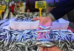 Karadeniz'de hamsi bereketi! Fiyatlar 100 liraya düştü