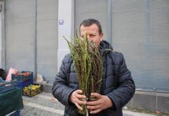 Aydın'a özgüydü şimdi Türkiye tanıyor: Pazarda kilosu 150 TL oldu