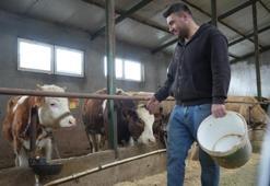 Bayburt’ta üreticiye 50 milyonluk dev destek: 3 bin 365 ton yem dağıtıldı! Hayvancılık yeniden canlanıyor