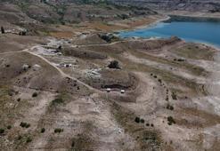 Anadolu’nun kayıp devleri gün yüzünde: Kayseri'de o bölgede daha genç ve benzersiz bir tür keşfedildi