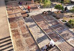 Manisa'da 3 bin yıllık sır ortaya çıktı! 140 yıl sonra ilk kez yapıldı, ezber bozan keşif