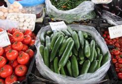 Muğla'da salatalık fiyatı rekor kırdı!