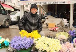 Muğla'da semt pazarında satışa çıktı: Her tezgaha renk katıyor
