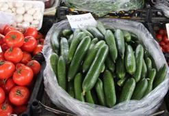 Muğla’da seralar zarar gördü, Muğla'da salatalık rekor fiyata ulaştı