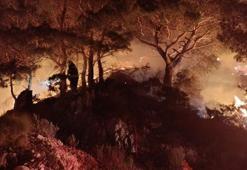 Muğla’nın Bodrum ilçesinde orman yangını çıktı