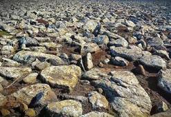 Bazalt taşların altından tarihi eserler çıkmadı! Şanlıurfa'da jandarma gerçeği ortaya çıkardı