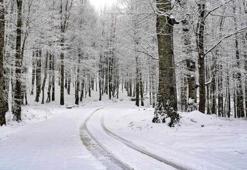 Ordu Valiliği açıkladı: 15 ilçede eğitime kar engeli