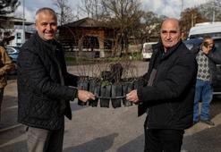 Bursa'da 934 üreticiye 4 milyon 670 bin lira destek