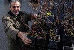 Bursa'da çiftçiye dev destek! Bu ürünleri ekenin geliri katlanacak