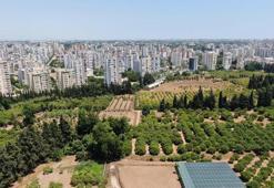 Türkiye’nin tarım haritası değişiyor: Son 20 yılda bir Antalya kadar toprak yok oldu!