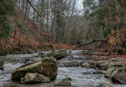 Türkiye'de tükense Malatya'da 5 tane var! Hazine gibi uzanıyor