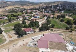 Samsun'da keşfedildi! Almanya'dan gelen profesör görünce dondu kaldı, dünyada böylesi yok