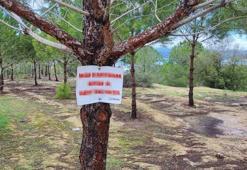 Adana'da 'hayvan ol' yazıp ağaca astı! Görenler inadına yaptı
