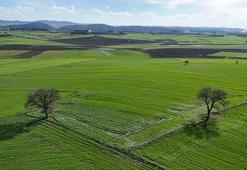 Edirne'de çiftçiye müjdeli haber: Bu üç uygulama doğru yapılırsa rekolte fırlayacak