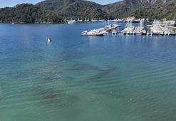 Fethiye'de su altındaki tarih için dev adım! Mavi turun yeni rotası tarih olacak: Kayıp şehir artık koruma altında