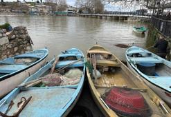 İsrail'in sazanı Bursa'da gelir kapısı oldu! Hızla çoğalıyor