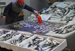 Ramazan bereketi balık tezgahlarına yansıdı! İşte hamsinin kilo fiyatı