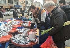 Hamsi 50 TL’ye düştü! Vatandaş kapış kapış aldı