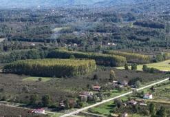 Samsun'un Çarşamba Ovası meyve üretiminde zirvede! Fındık, kivi, ceviz, elma ve Trabzon hurması (cennet hurması) artışta