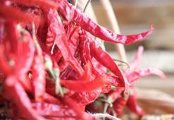 Eskişehir'de üretiliyor kargo ile Türkiye'nin dört bir yanına gönderiliyor