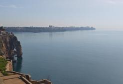 Akdeniz'de tehlikeli tür! Kesinlikle dokunulmaması gerekiyor