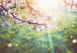 Üçüncü cemre düştü mü? Son cemre ne zaman düşecek İşte bahar müjdecisi 3. cemre düşme tarihi ve günü 2026!