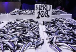 Trabzon’da iftarın gözdesi hamsi ve istavrit oldu: Kilosu 100 TL!