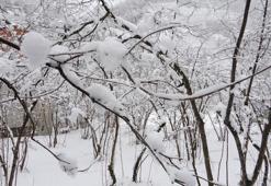 Üreticinin kabusuna bilimsel açıklama: Şu an risk yok, fayda var