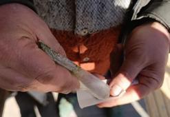 Bu otu kullananlar dikkat! Günde 8 paket sigaraya bedel