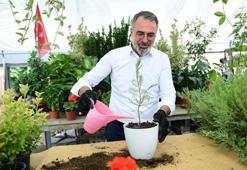 Kestel süs bitkilerinde dünya devlerine rakip oldu!