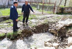 Denizli’de şaşırtan görüntü: Tarlalardan, yol kenarlarından bir anda fışkırmaya başladı! Mahalleli hayrete düştü