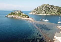 Bodrum'da deniz çekildi, 3 bin 500 yıllık 'Kral Yolu' gün yüzüne çıktı!