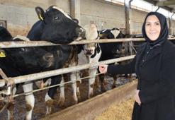 Devlet destek verdi ev hanımlığından patronluğa geçti: 900 hayvanın bulunduğu çiftliğin sahibi oldu
