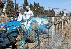 Erzincan Tarım Müdürlüğü’nden üreticilere bordo bulamacı uyarısı: Uygulama zamanını kaçırmayın