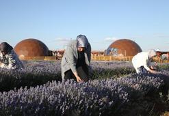 Türkiye'nin en büyüğü, sadece 7 kadın üretti! Tek sözüyle şehir harekete geçti, 81 il sıra bekliyor