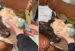 Buzağı ölümlerine karşı Artvin usulü çözüm: Çocukların buhar makinesi buzağılara nefes oldu!