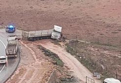 Siirt'te kontrolden çıkan kamyon yol kenarına savruldu