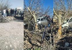 Aydın'da otomobil ağaçlara ok gibi saplandı: 2 ölü, 1 ağır yaralı