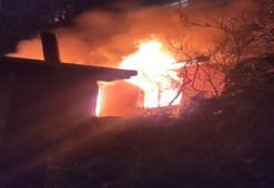 Beyoğlu alevlere teslim oldu: Yangın mahalleliyi korkuttu