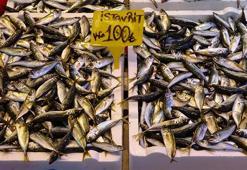 Hamsi severlere kötü haber! Aylar sonra ilk kez odu, artık tezgahta yok