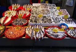 Hamsi bitti, vatandaş başka balıklara yöneldi! En ucuzu 100 lira