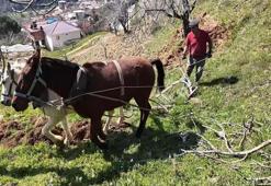 8 bin TL yevmiye veriyorlar ama çalışacak işçi bulamıyorlar! Zahmeti çok, işi yapan servet kazanıyor