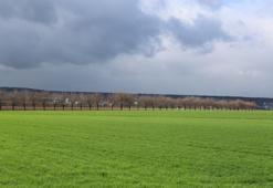 Yağışlar yüzde 248 arttı, rekoltede yüzde 50 artış bekleniyor