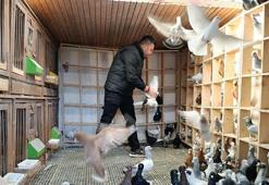 Hobi olarak yapıyordu, memuriyeti bırakıp bu işe başladı! Her birini otomobil fiyatına satıyor